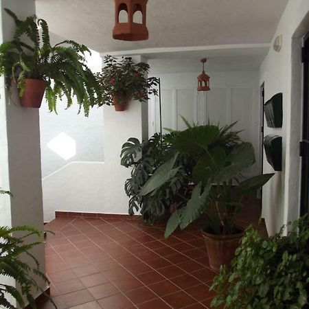 Apartamento En Conil Conil De La Frontera Eksteriør billede
