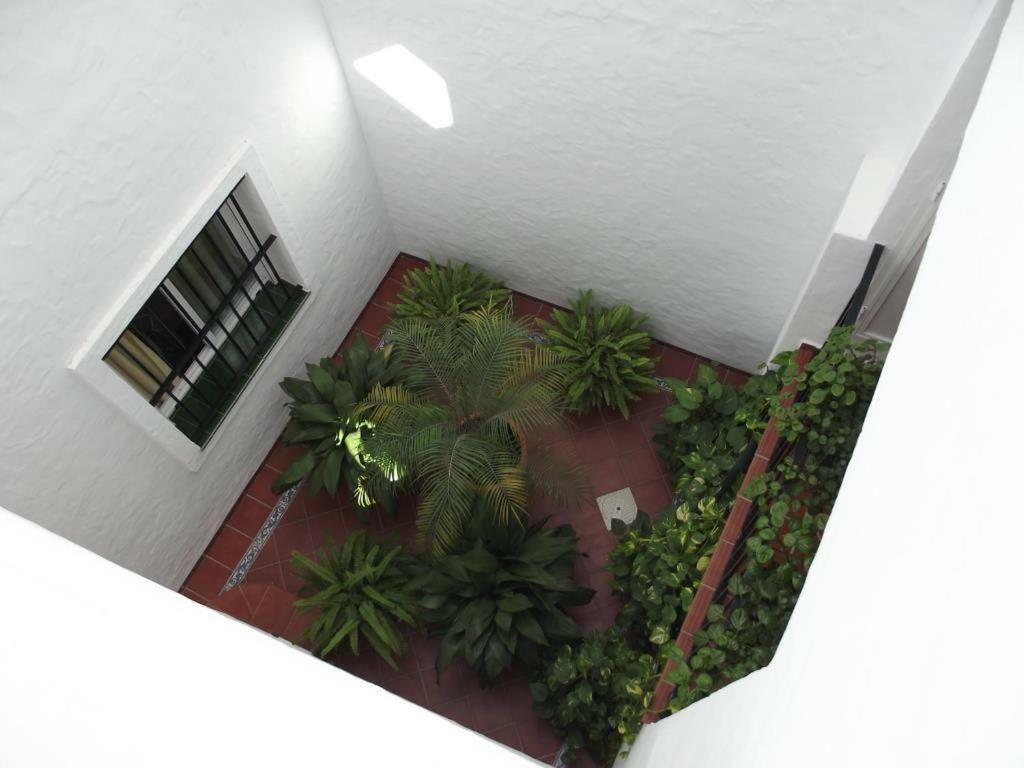 Apartamento En Conil Conil De La Frontera Eksteriør billede